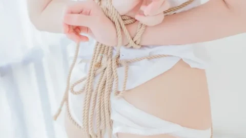 秘密高分无删减