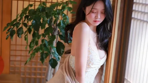 热门影视合集在线观看全集网站